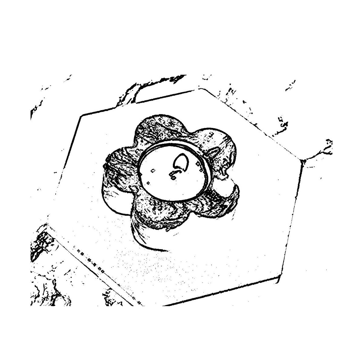 Flora