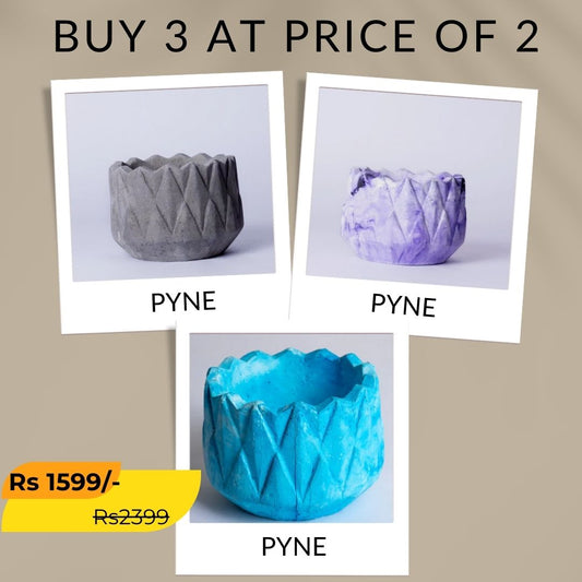 Best seller planter combo 17