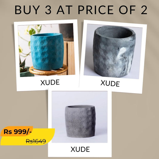 Best seller planter combo 19