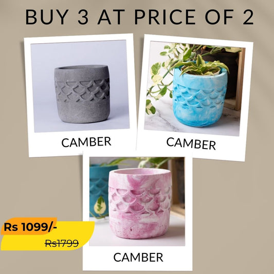 Best seller planter combo 21