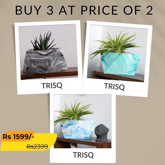 Best seller planter combo 22