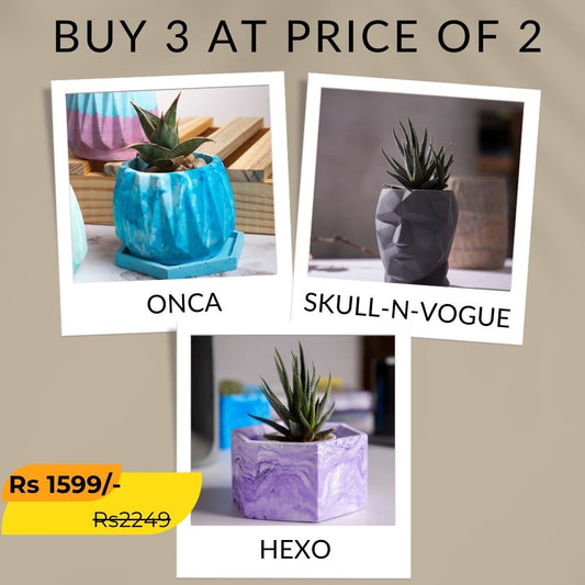 Best seller planter combo 23