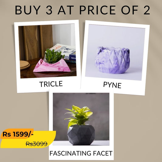 Best seller planter combo 26