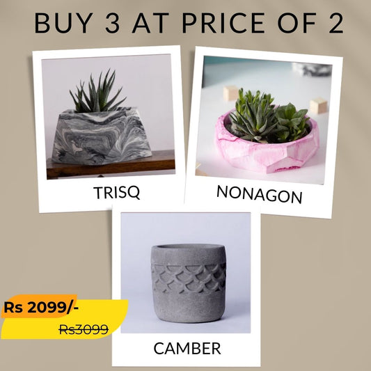 Best seller planter combo 27