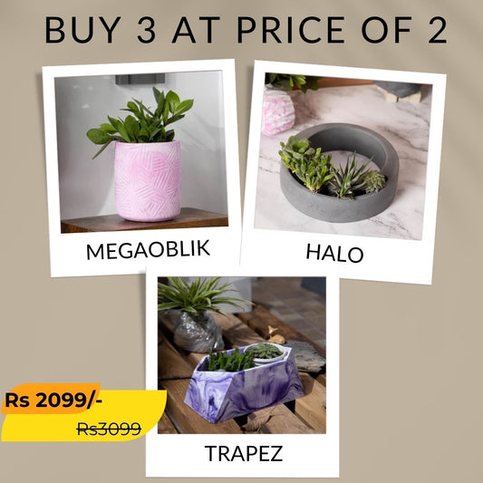 Best seller planter combo 28