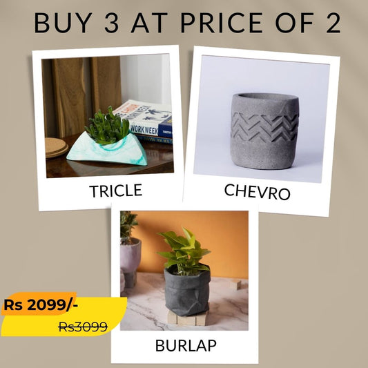 Best seller planter combo 29