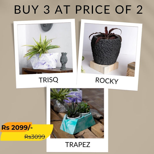 Best seller planter combo 30