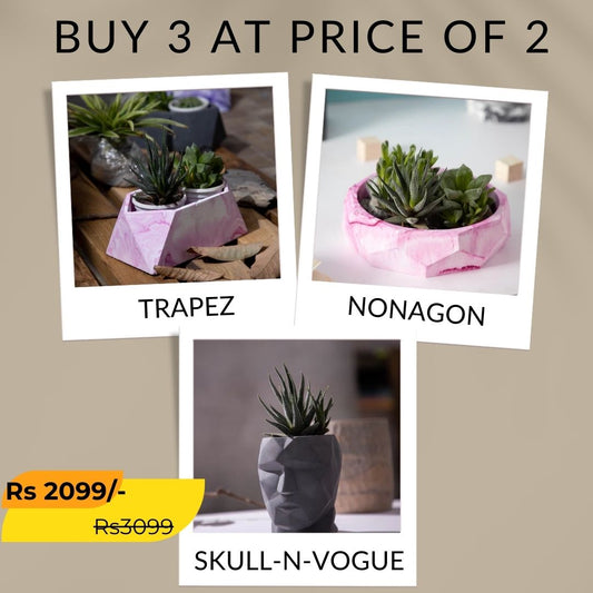 Best seller planter combo 31