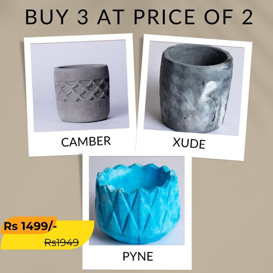 Best seller planter combo 32