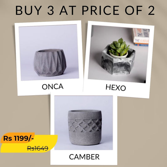 Best seller planter combo 33