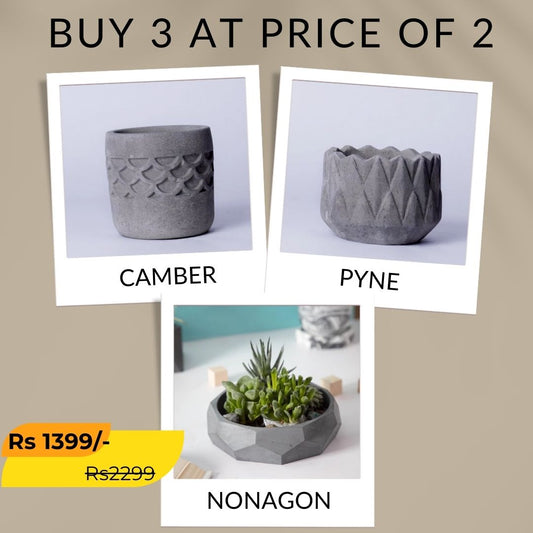 Best seller planter combo 35