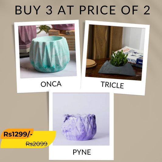 Best seller planter combo 36