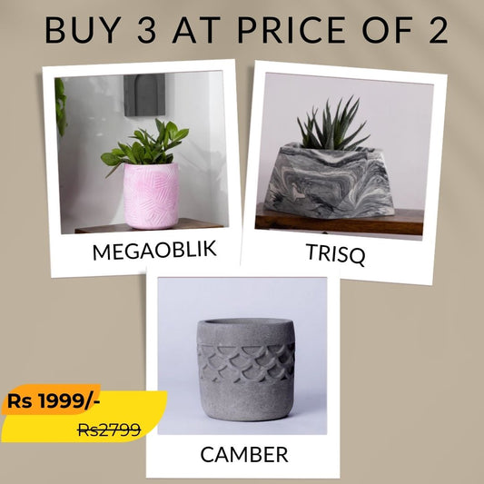 Best seller planter combo 37