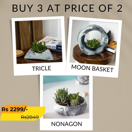 Best seller planter combo 38