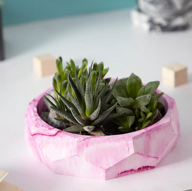 Best seller planter combo 31