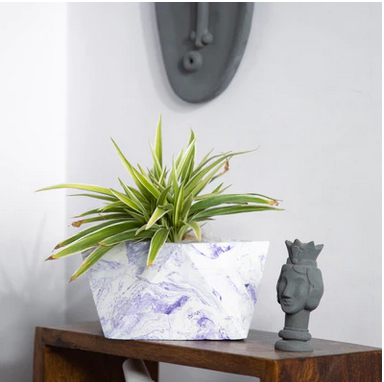 Best seller planter combo 30