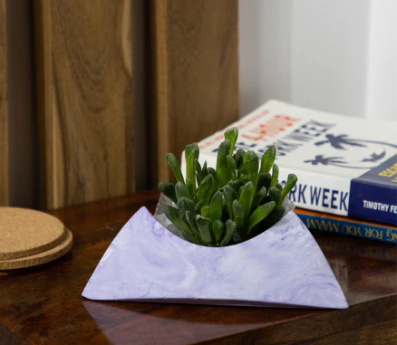 Best seller planter combo 14