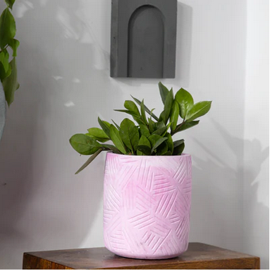 Best seller planter combo 37