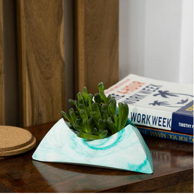 Best seller planter combo 4