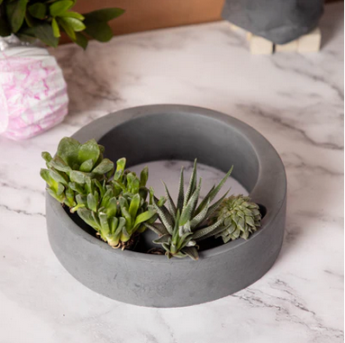 Best seller planter combo 28
