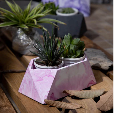 Best seller planter combo 31