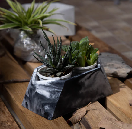 Best seller planter combo 12