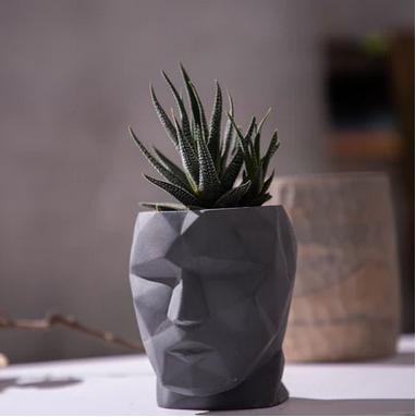 Best seller planter combo 4