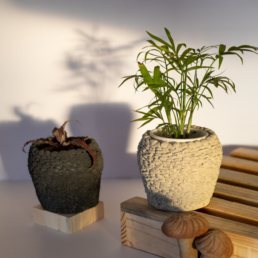 Rocky Random Rubble Cement Finish Concrete Planter