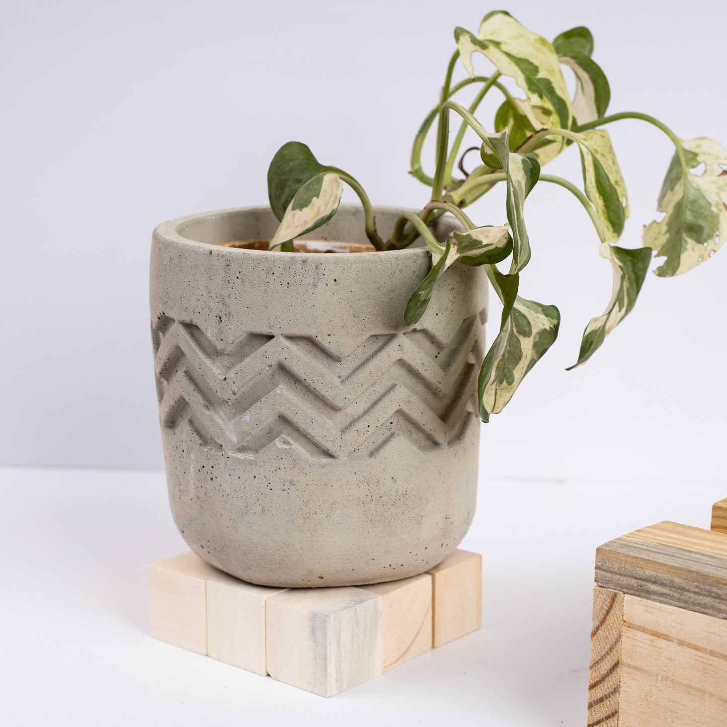 Chevro Planter Cement Finish - Chevron Pattern Designer Succulent Planter for Home And Office Decor