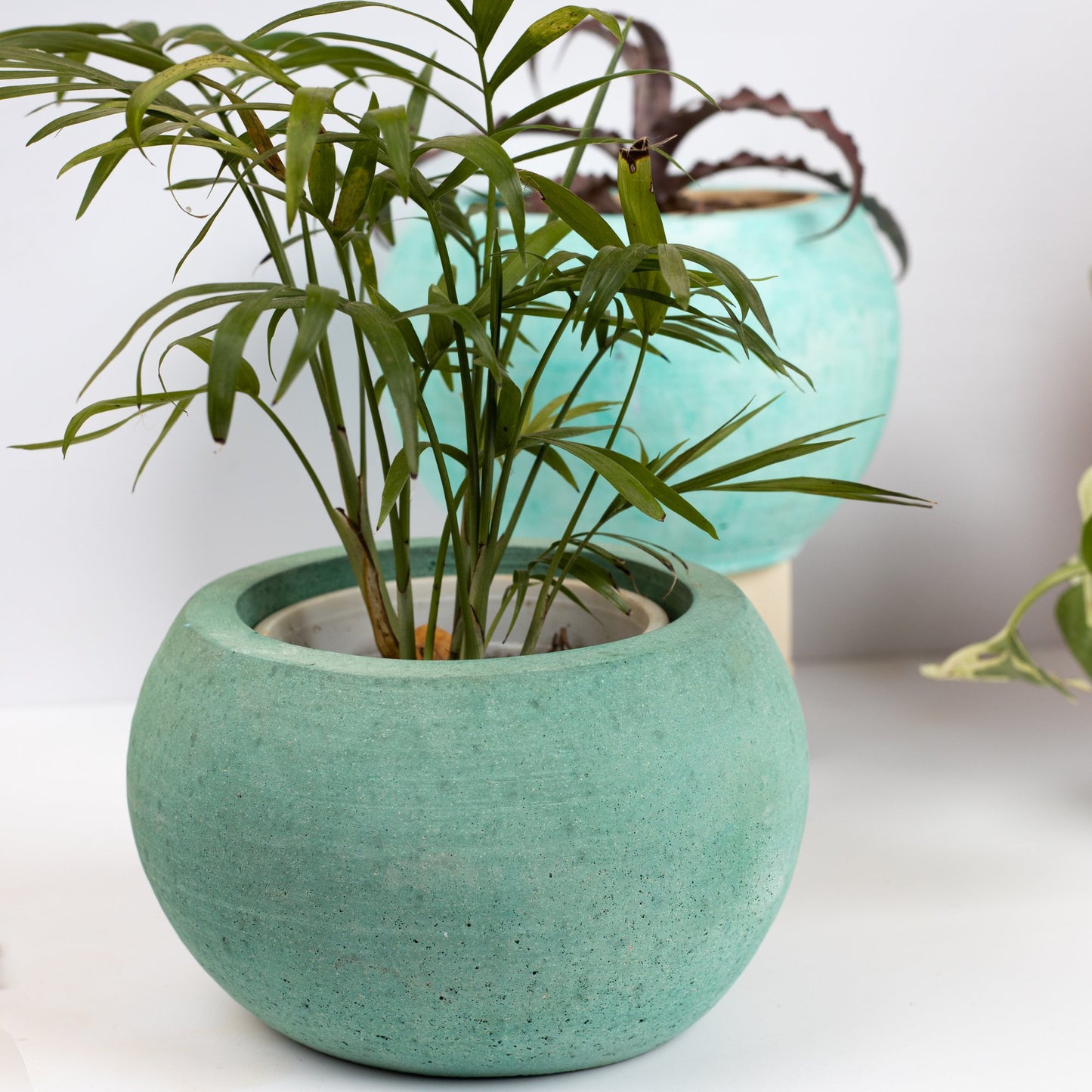 Orb Planter Mint Marble - Classic Concrete Succulent Planter in lively earthy colours, perfect for home decor & gifting.