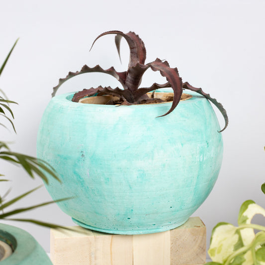 Orb Planter Mint Marble - Classic Concrete Succulent Planter in lively earthy colours, perfect for home decor & gifting.