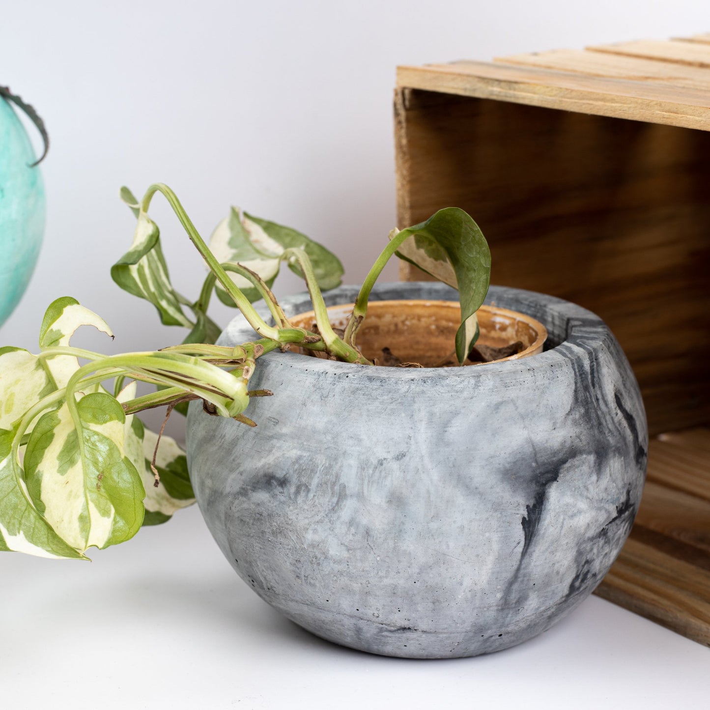 Orb Planter Candy Marble - Classic Concrete Succulent Planter in lively earthy colours, perfect for home decor & gifting.