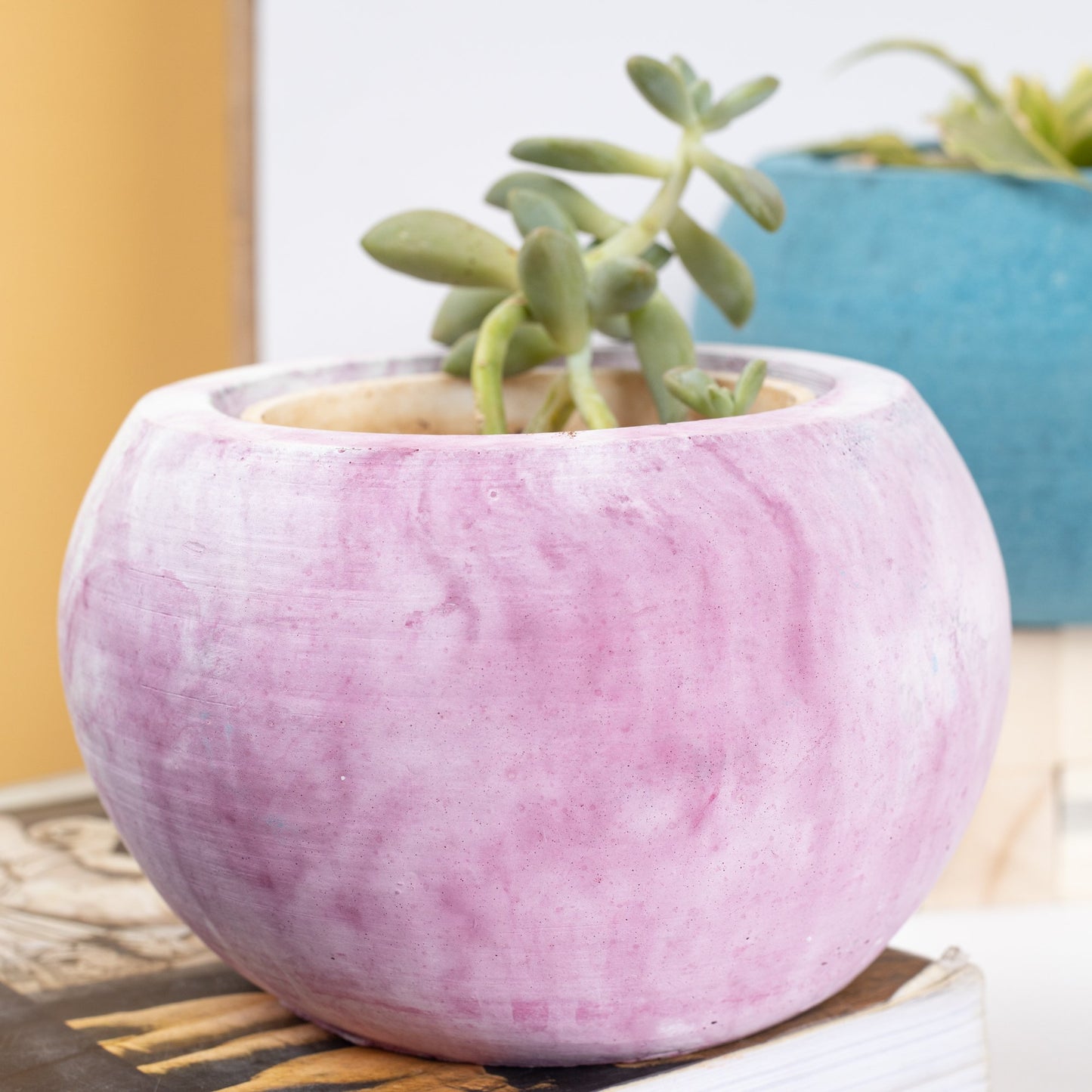 Orb Planter Midnight Blue - Classic Concrete Succulent Planter in lively earthy colours, perfect for home decor & gifting.