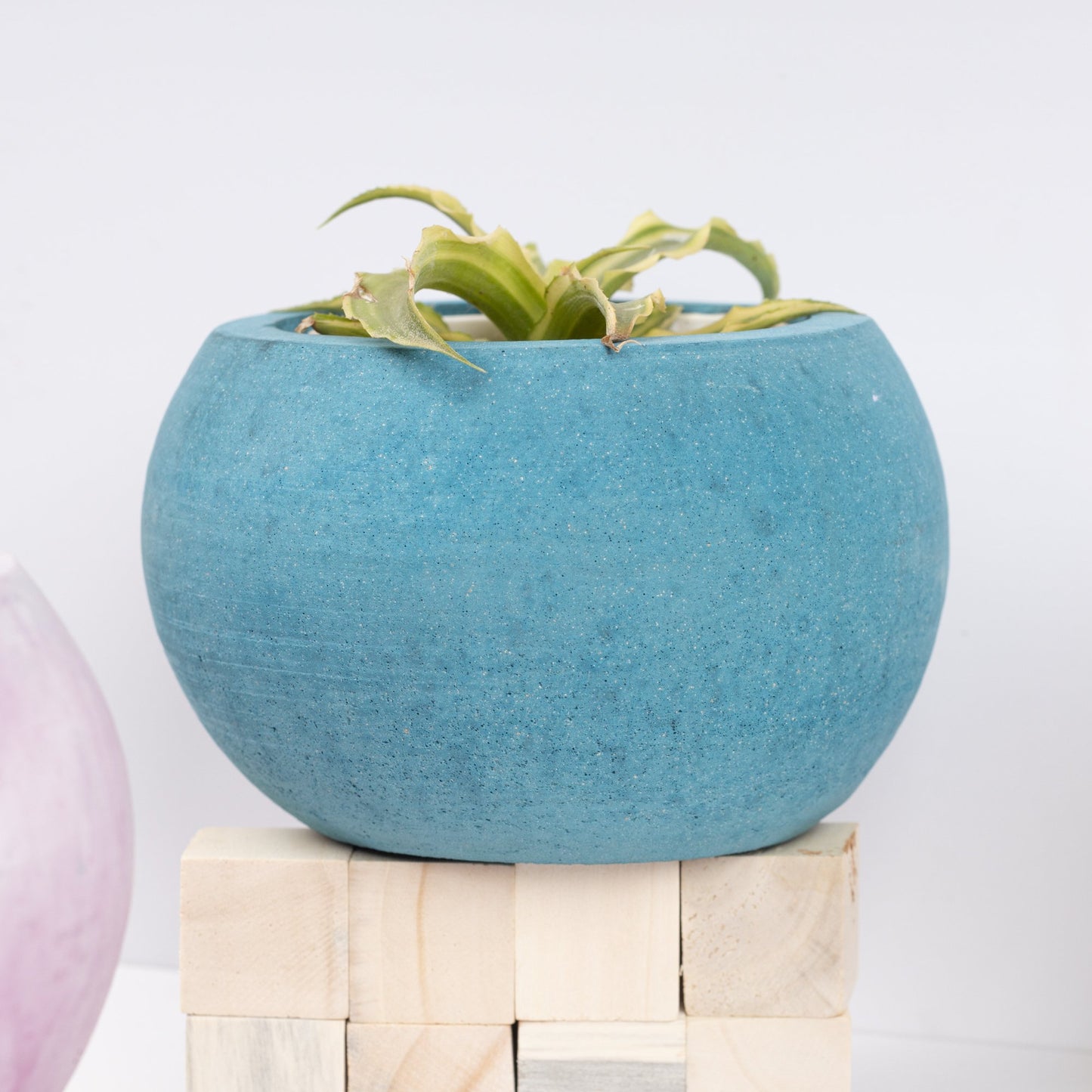 Orb Planter Midnight Blue - Classic Concrete Succulent Planter in lively earthy colours, perfect for home decor & gifting.