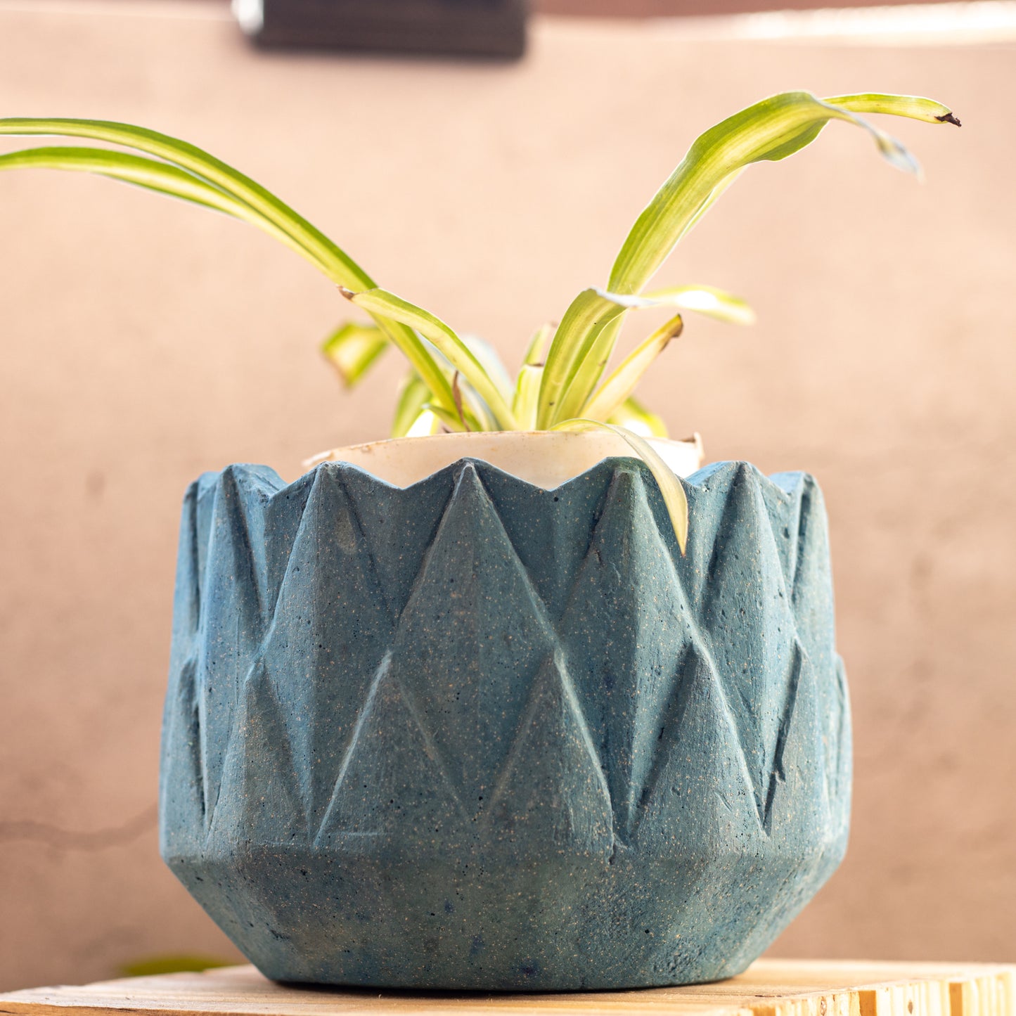 Pyne Planter Midnight Blue - Geometric Table top planter, diamond shaped surface