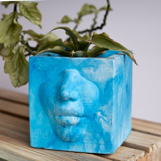 Visage - Succulent Planter or Pen Holder