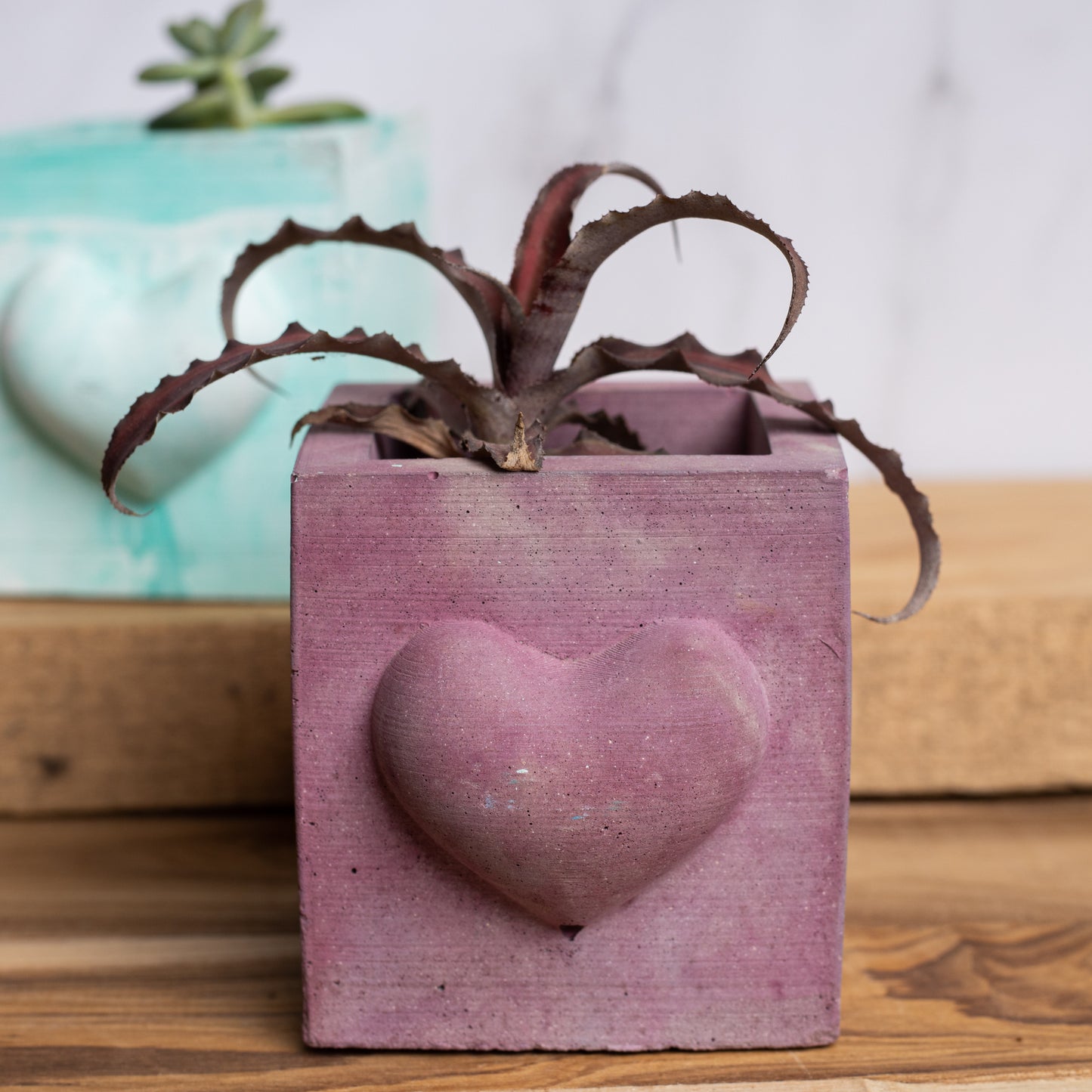 Hearty Planter Candy Marble - 3D Heart shape Planter or Pen Stand for gifting to loved ones