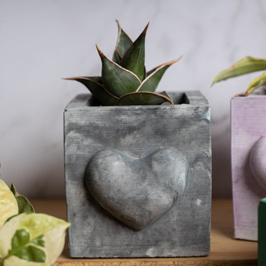 Hearty Planter Nero Marble - 3D Heart shape Planter or Pen Stand for gifting to loved ones