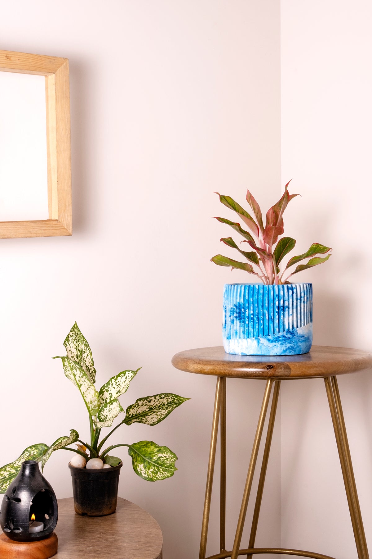 Kurl Planter Cloud - Best Geometric Planter for Balcony & Garden
