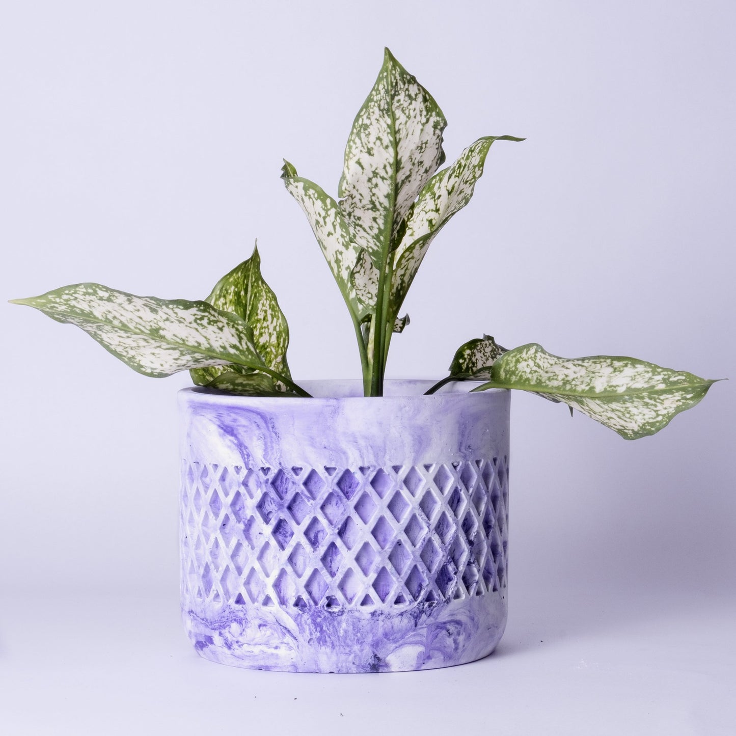 Dimen Planter Nero Marble - Best Geometric Planter for home Decor for Indoor & Outoor Gardening