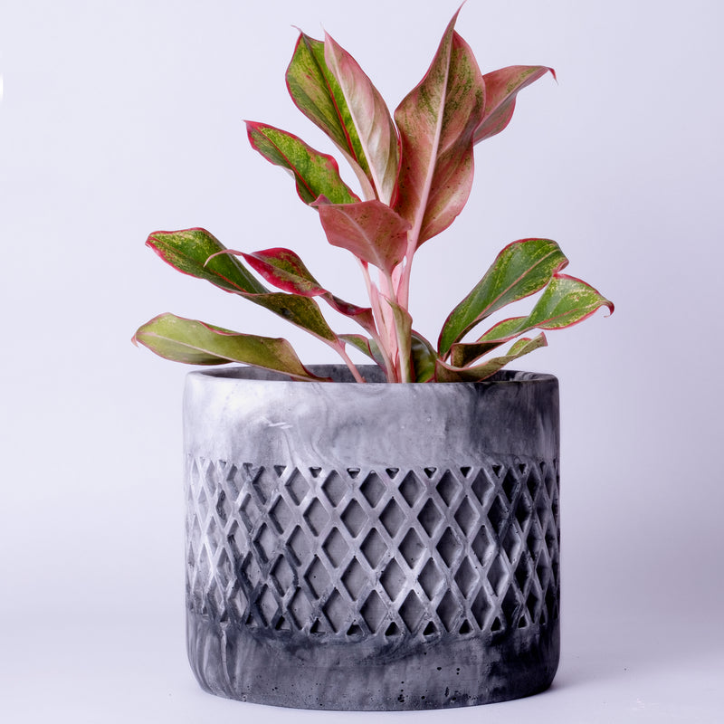 Dimen Planter Nero Marble - Best Geometric Planter for home Decor for Indoor & Outoor Gardening