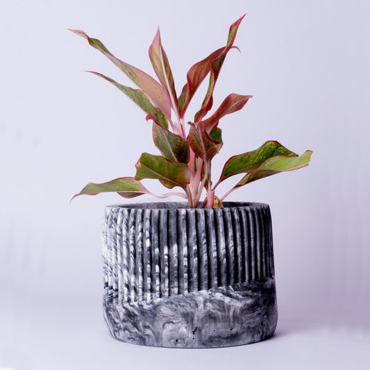 Kurl Planter Nero Marble - Best Geometric Planter for Balcony & Garden