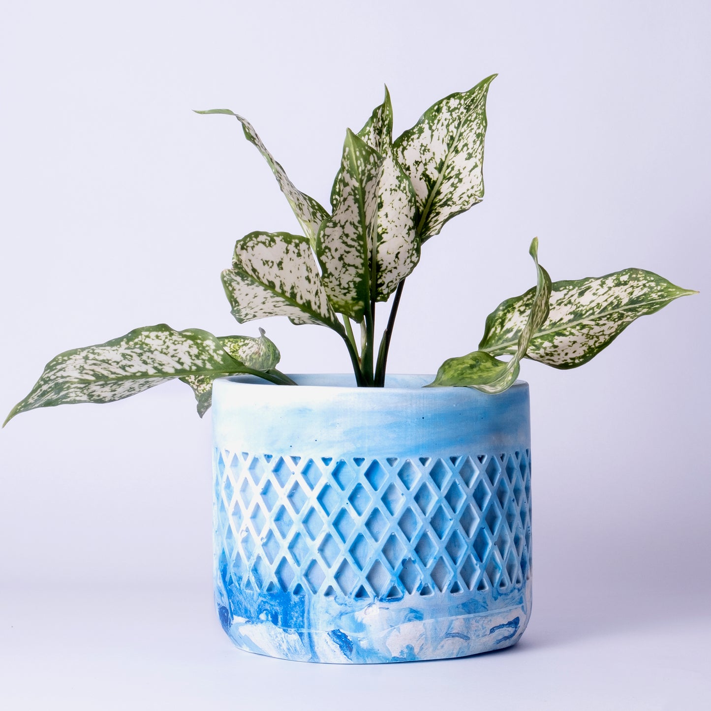 Dimen Planter Cloud - Best Geometric Planter for home Decor for Indoor & Outoor Gardening