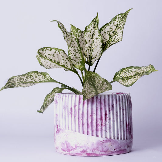 Kurl Planter Candy Marble - Best Geometric Planter for Balcony & Garden