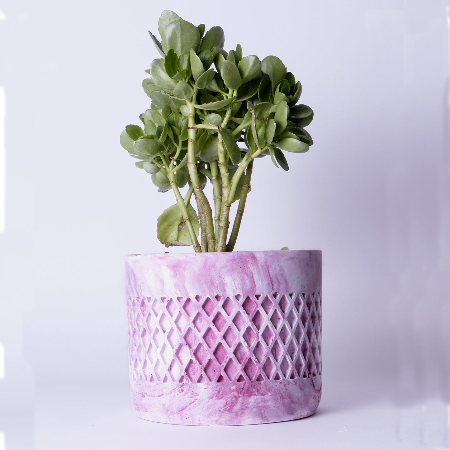 Dimen Planter Nero Marble - Best Geometric Planter for home Decor for Indoor & Outoor Gardening