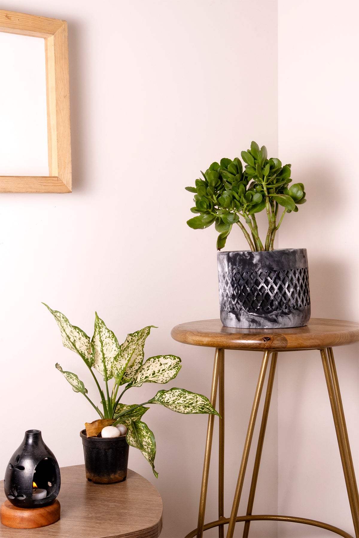 Dimen Planter Nero Marble - Best Geometric Planter for home Decor for Indoor & Outoor Gardening