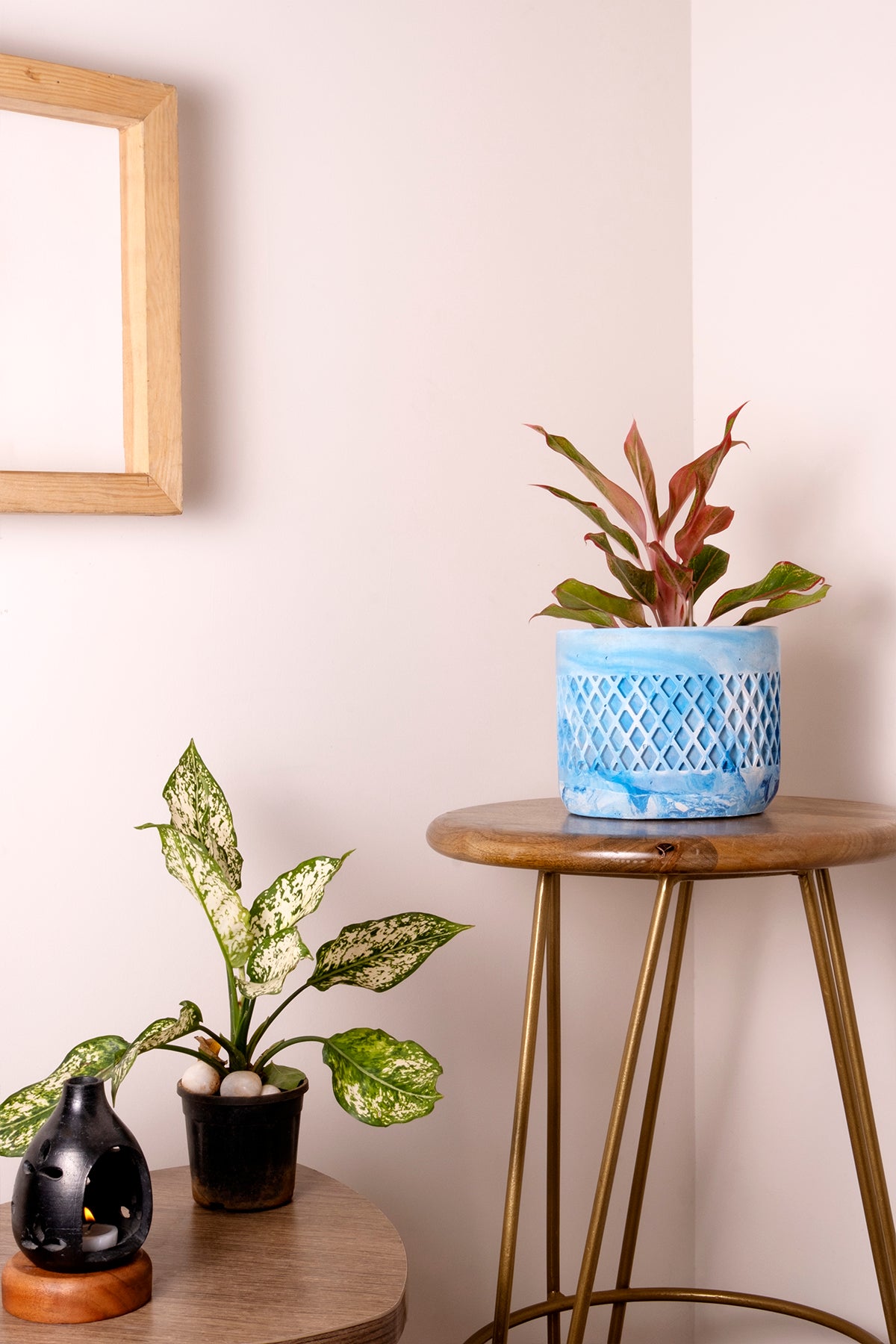 Dimen Planter Cloud - Best Geometric Planter for home Decor for Indoor & Outoor Gardening