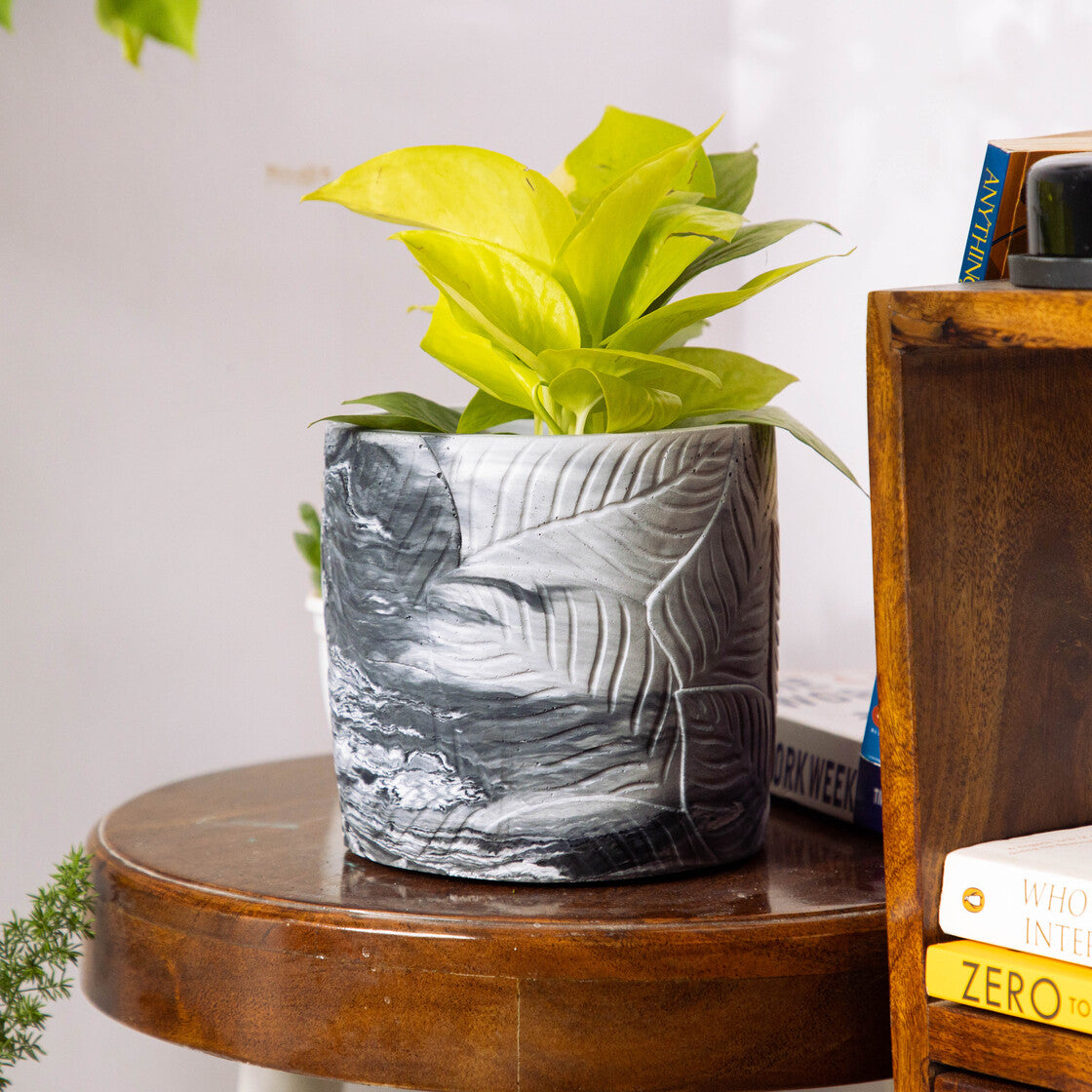 Frond-Mint Marble-Leaf Imprint Planter, features an Embossed Leaves texture