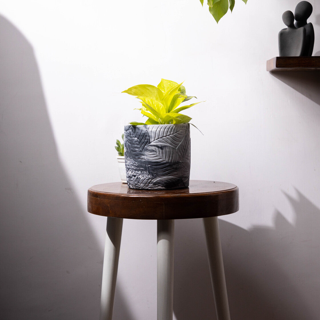 Frond-Cement finish-Leaf Imprint Planter, features an Embossed Leaves texture
