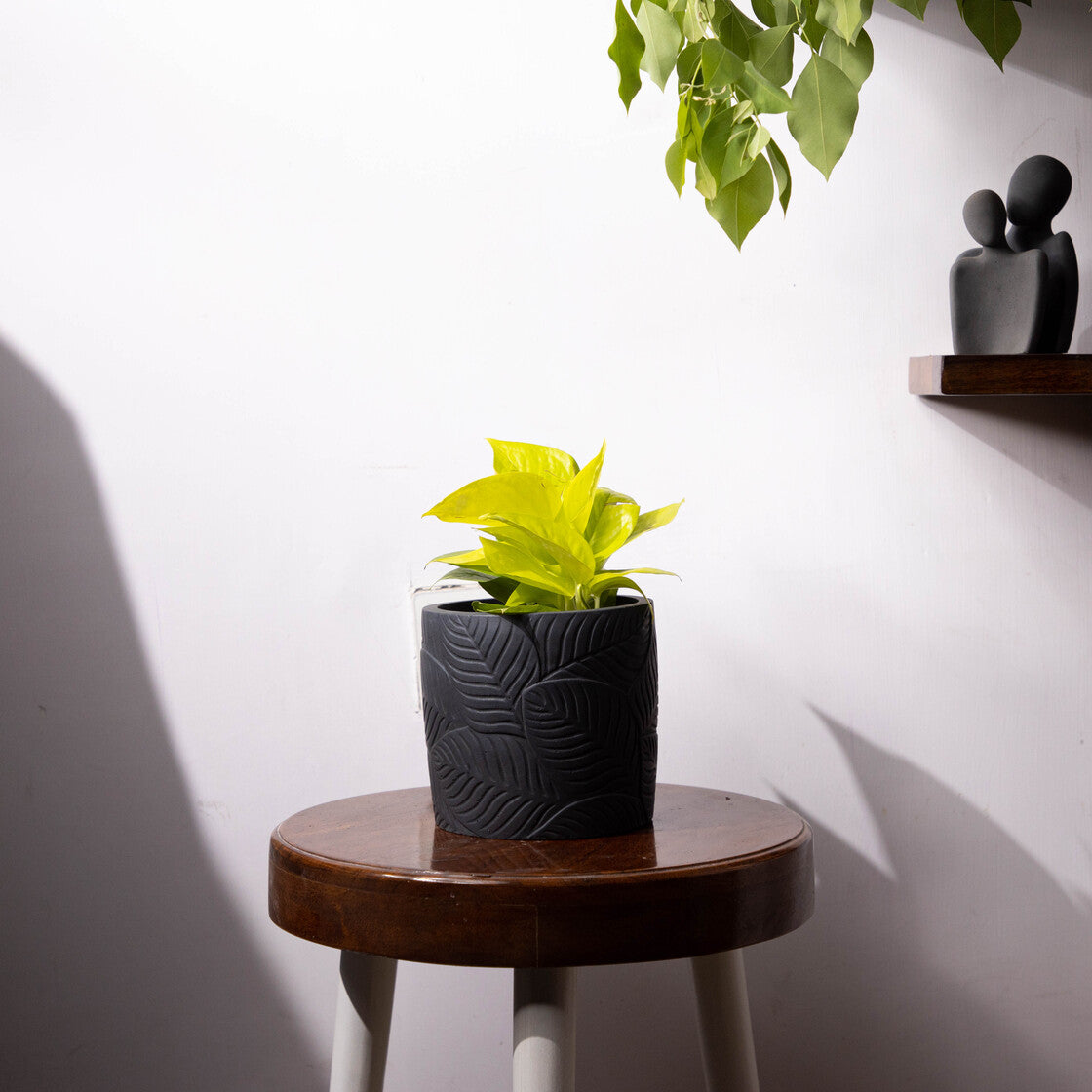 Frond-Mint Marble-Leaf Imprint Planter, features an Embossed Leaves texture